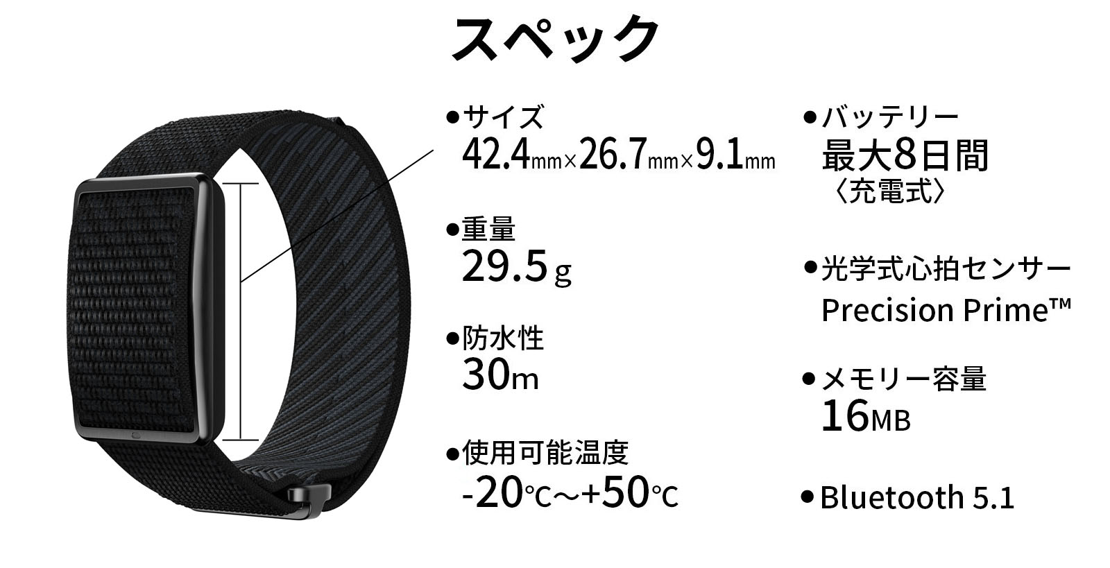 Polar Loop ポラール ループ スクリーンレスなウェアラブル 