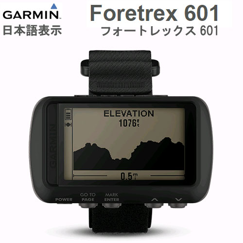 ForeTrex601