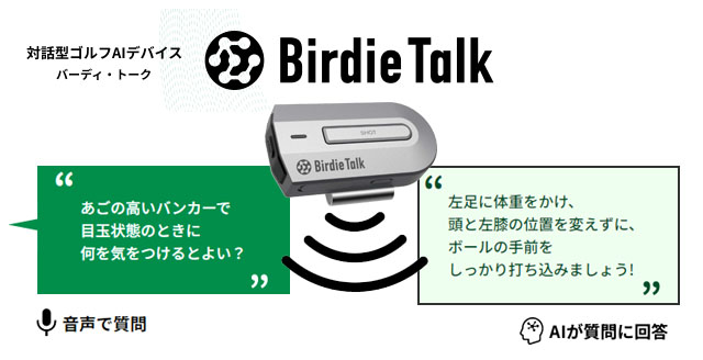 ソースネクスト BirdieTalk バーディ・トーク